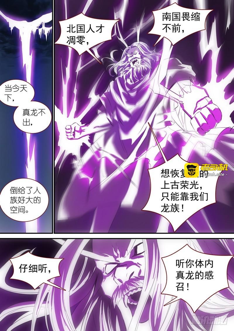 总342·真龙感召 第 11 页