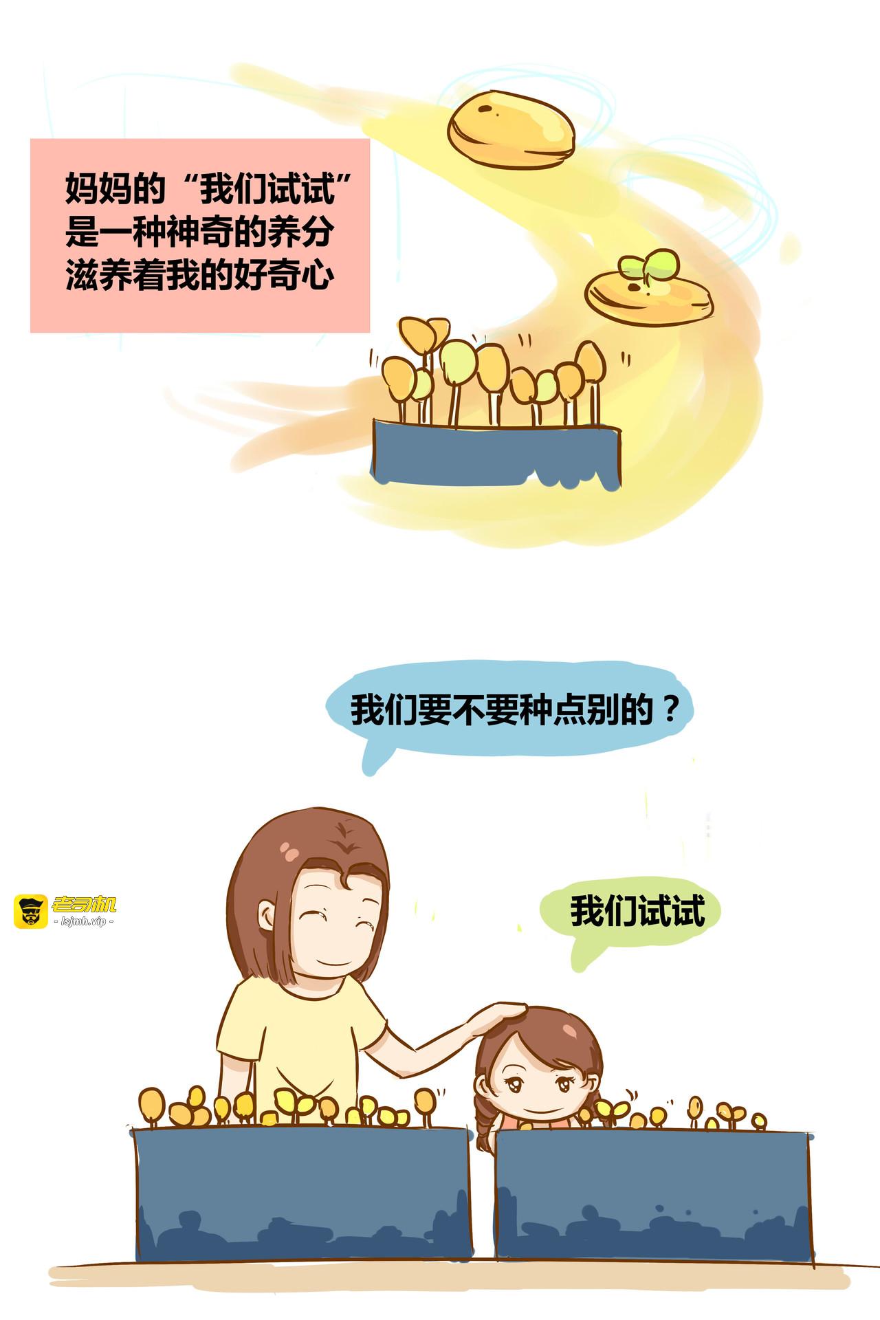 我的梦想从豆芽开始 第 15 页