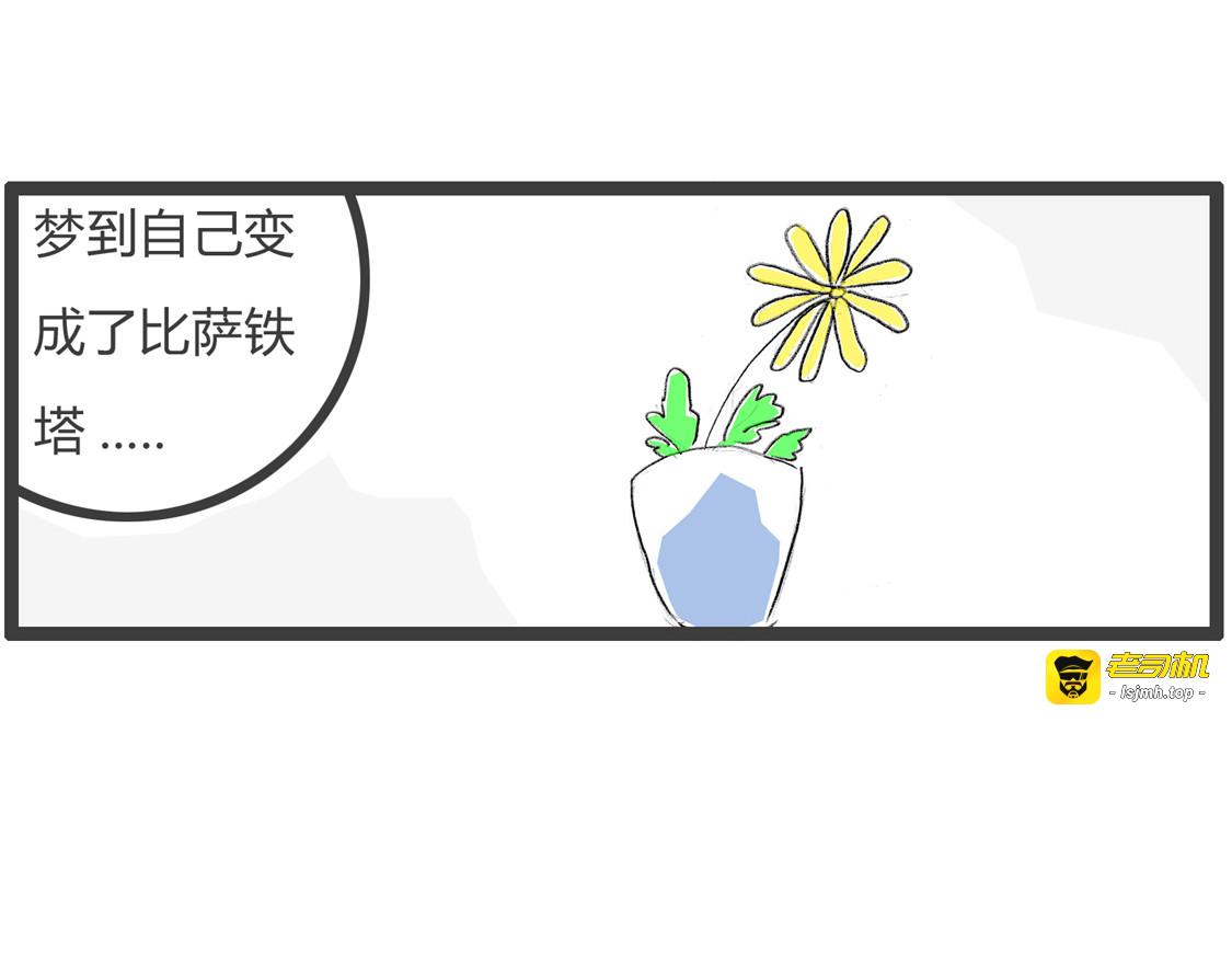 我的行业 第 17 页
