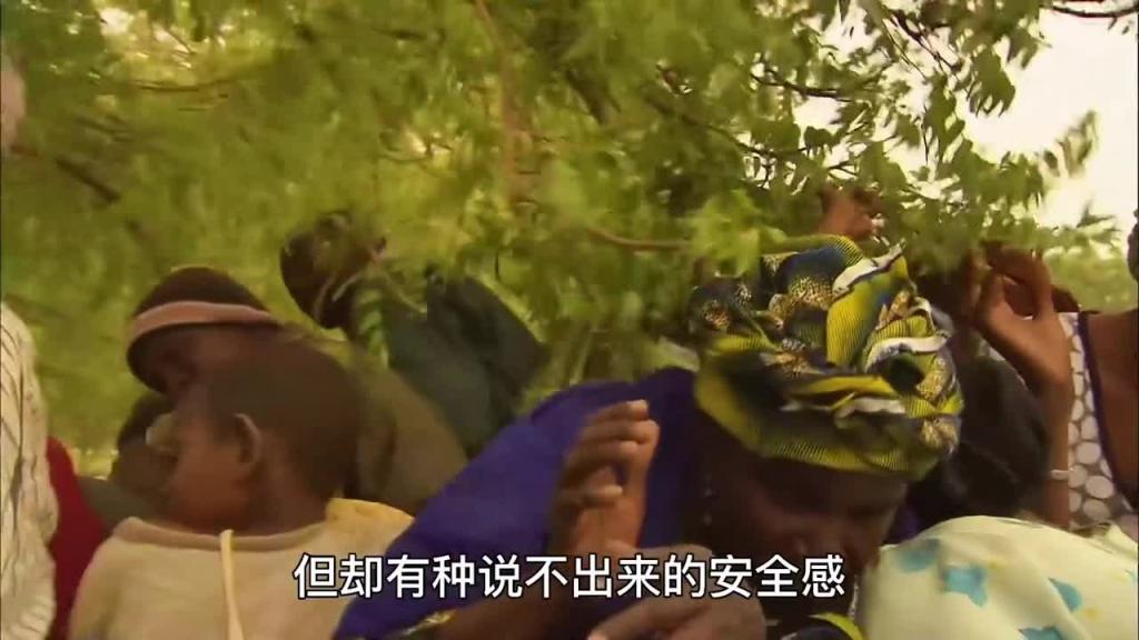 即便是面对一车货半车人的焦灼局面,他奥德彪也会从容面对#纪录片 预览截图 8