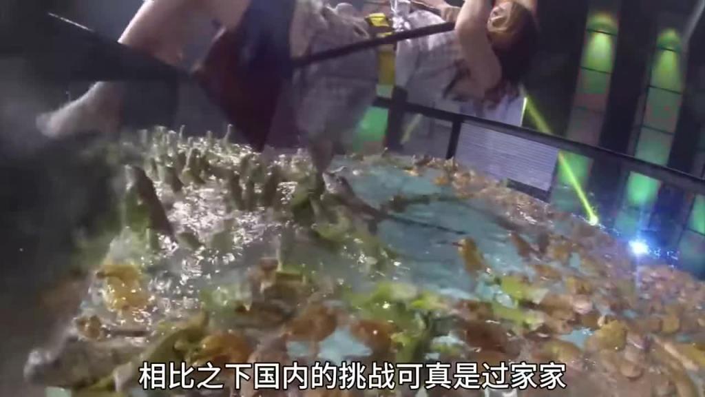 国外奇葩挑战综艺,无论发生什么都要完整唱完一首歌2 预览截图 11