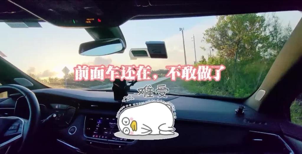 大奶女友在去玩的路上发骚!在路边就给我口交直接坐上去 预览截图 8