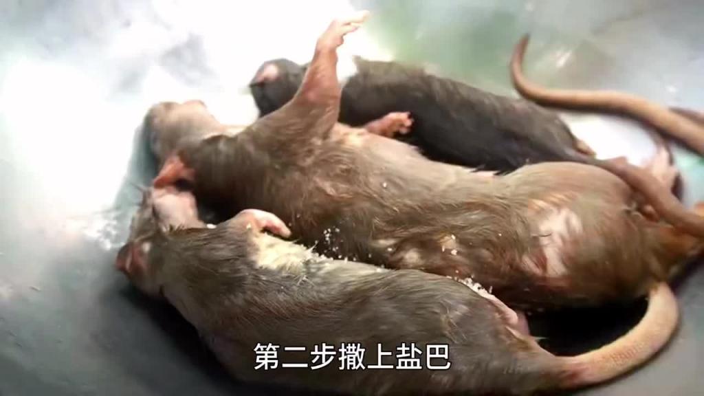 越南美食米奇包饭,艾特你最好朋友来吃 预览截图 3