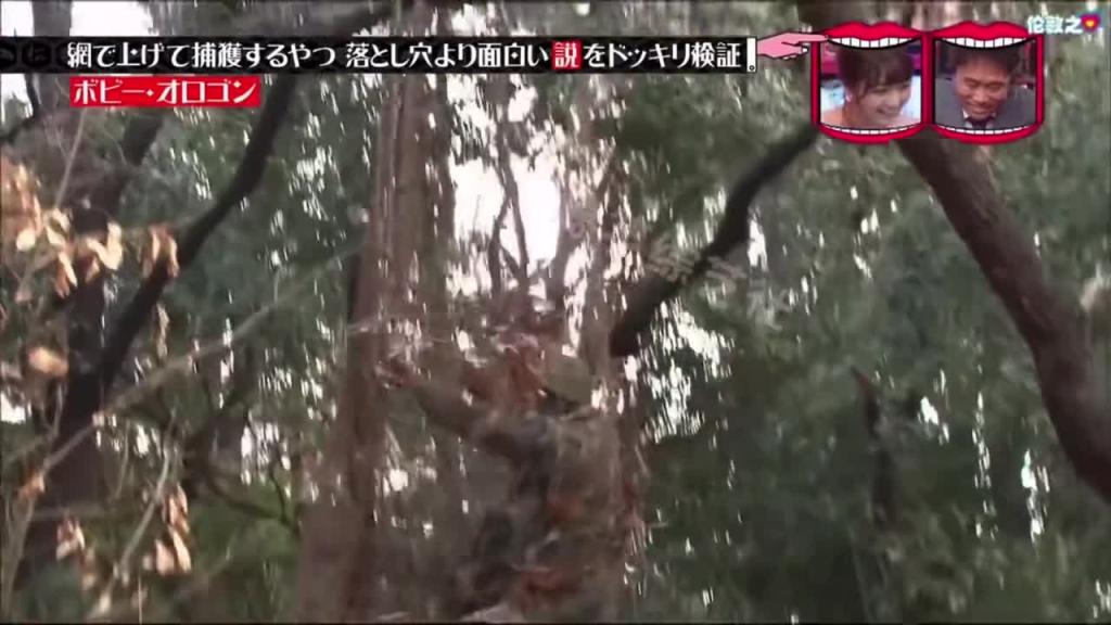 小日子的整蛊综艺能有多离谱 在荒废的小树林里到处设置陷阱 预览截图 7