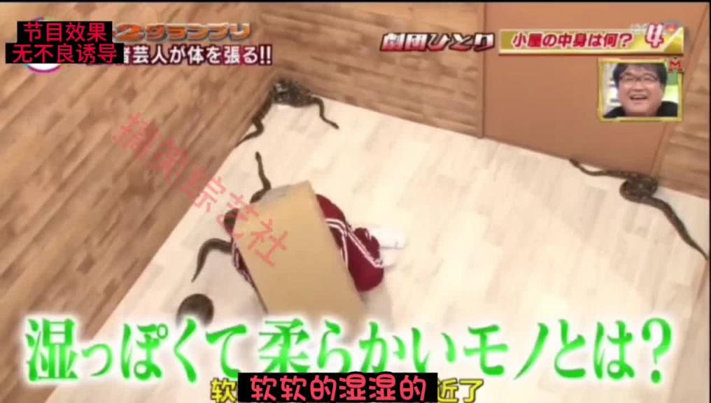 爆笑整蛊 盲盒猜物里面竟然有蟒??? 预览截图 10