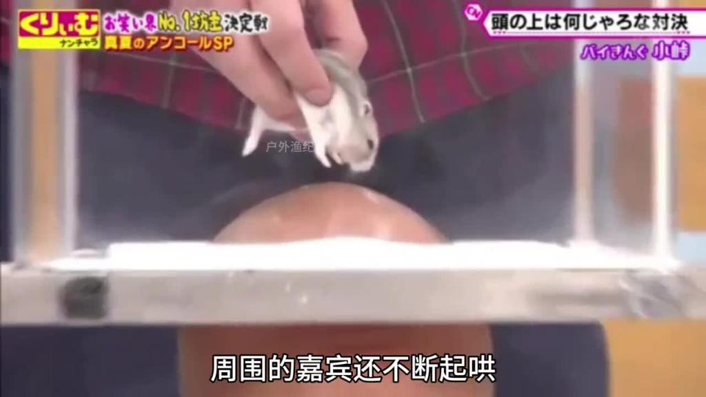 日本奇葩综艺头上放仓鼠，猜物品大赛 预览截图 12