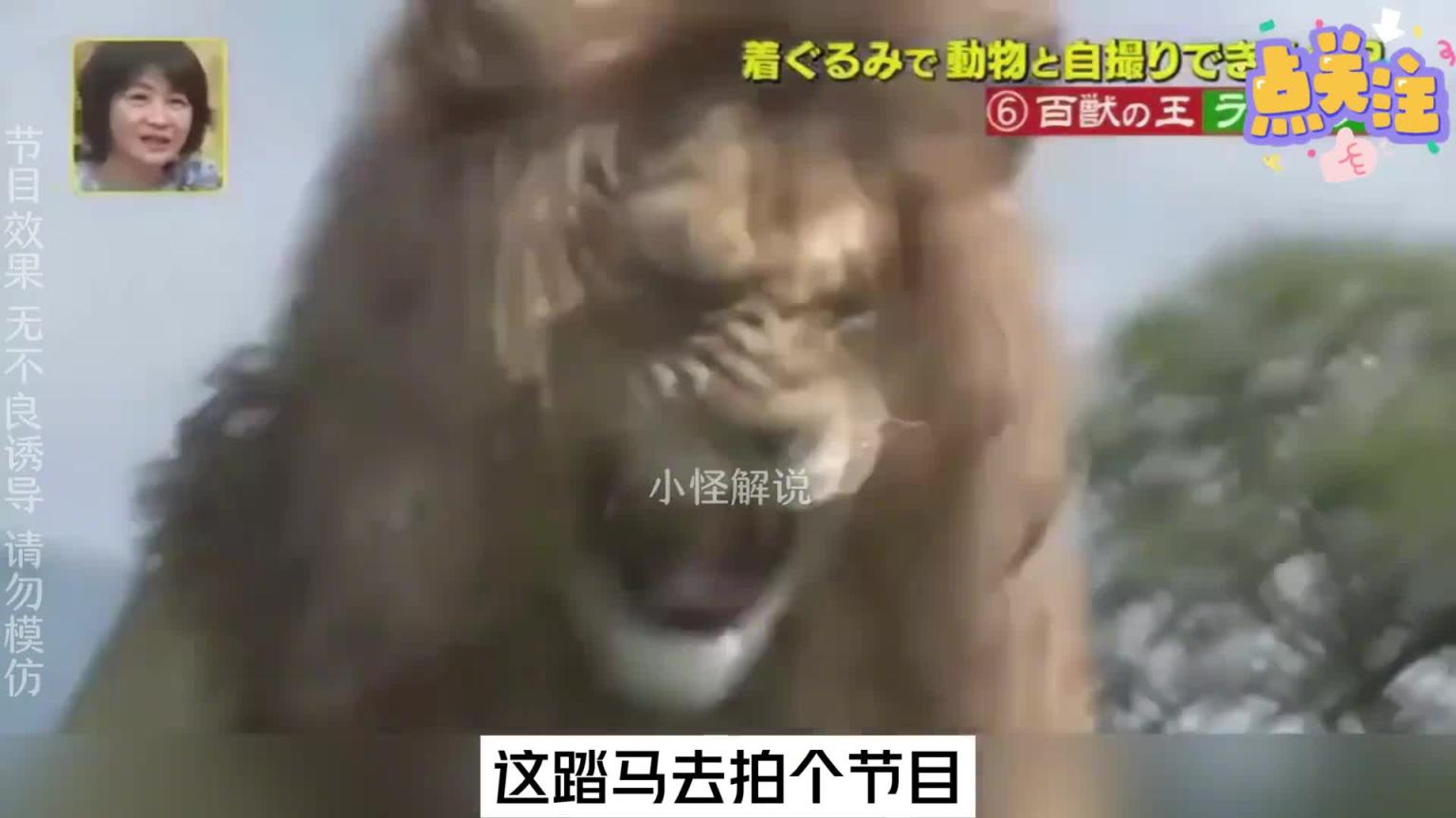 小日子的综艺真损,完全不把艺人当人看,笑死我了,哈哈哈。#综艺名场面 预览截图 10