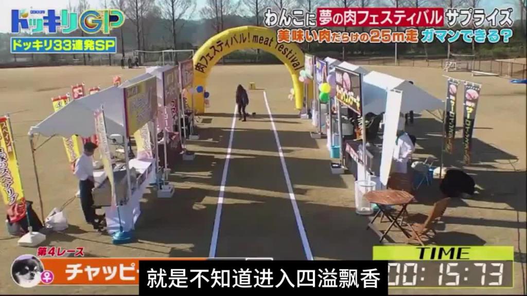 日本奇葩综艺整狗比赛，主题名为绝对不能吃挑战赛 预览截图 10