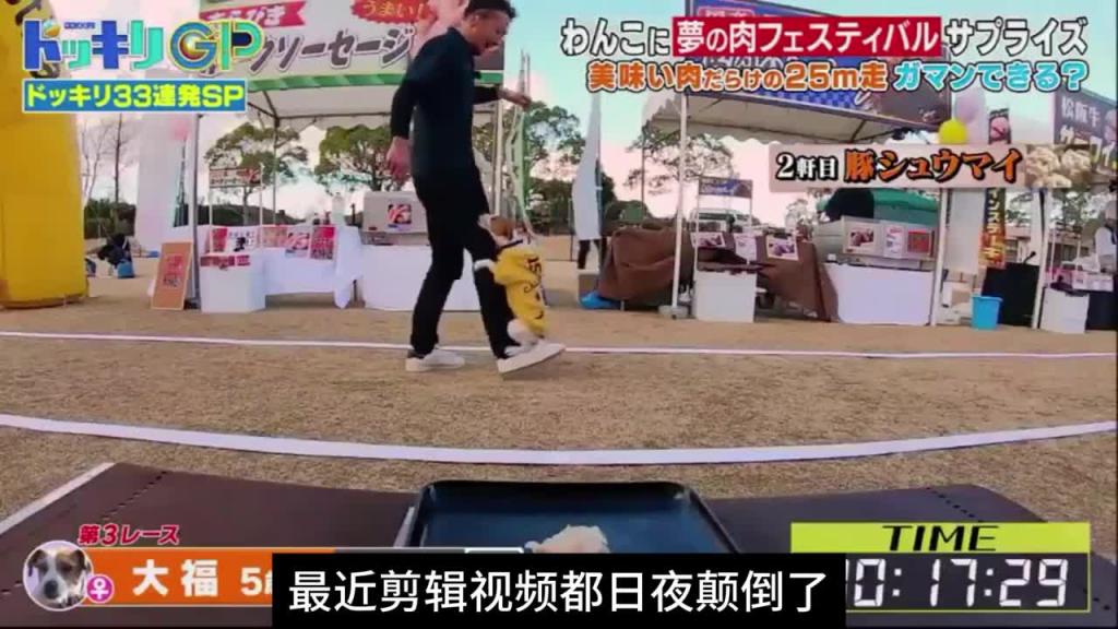 日本奇葩综艺整狗比赛，主题名为绝对不能吃挑战赛 预览截图 7