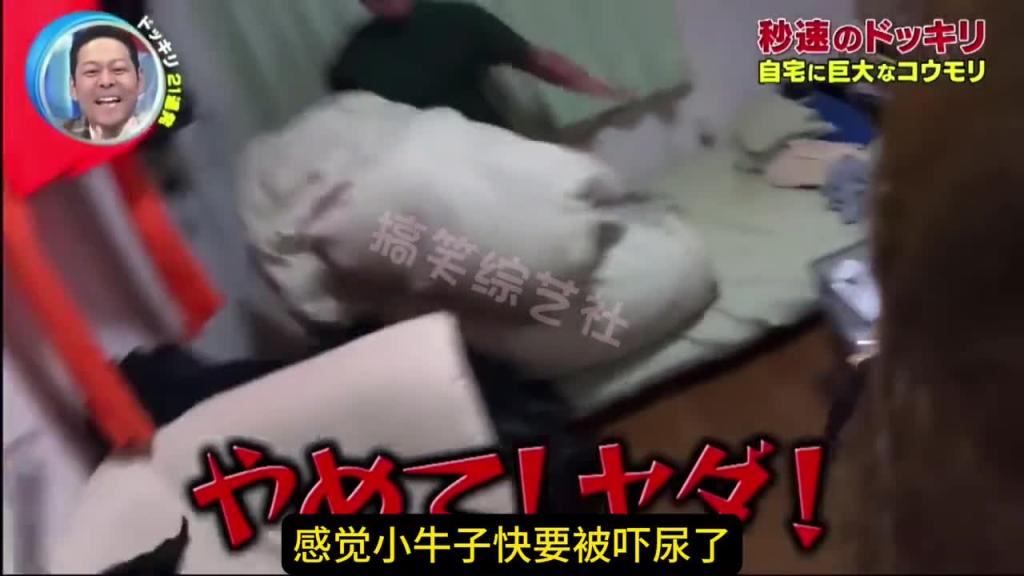 家里突然冒出一只巨大的蝙蝠 这时你会有什么反应呢？ 预览截图 10