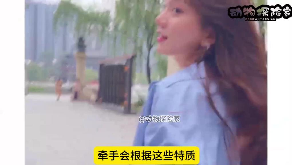 韩国爆笑综艺。当好色财阀遇到“美艳”女仆 预览截图 6