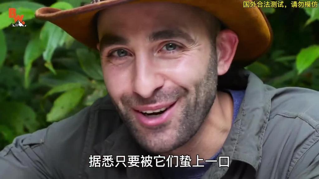 你知道被疼痛感第一的子弹蚁叮咬是种什么感觉吗 预览截图 7