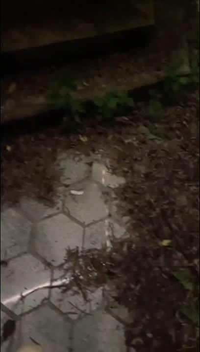 骚逼老妈穿着开档瑜伽裤在人前暴露，直接在人来人往的公园就被我内射到高潮了 预览截图 7