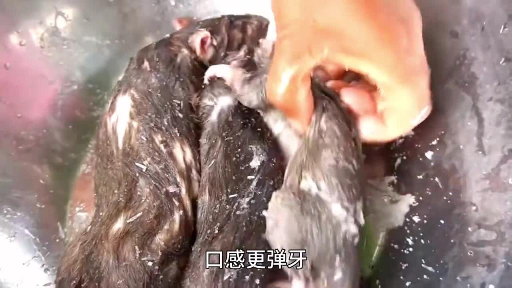 越南美食米奇包饭,艾特你最好朋友来吃 预览截图 6