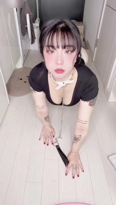 调教的极品母狗,身材不错 预览截图 6