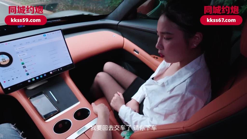 DG5675-试驾小米yu7，户外无套车震性感女销售-林沫 预览截图 1