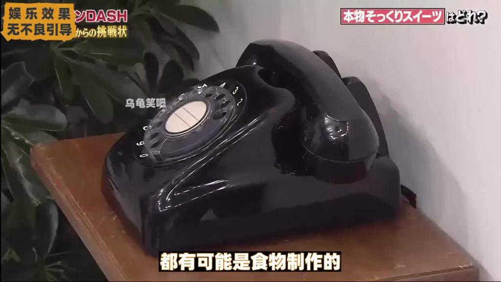 日本整活综艺,难以分辨的物品 预览截图 6