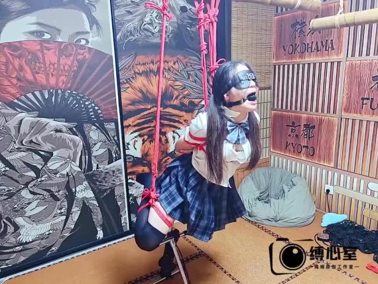 【缚心室】双马尾JK少女的绳缚地狱(续)!高强度羞耻折磨,吊缚玩弄,炮机+AV棒,羞耻的拘束架玩法,被折磨到完全脱力,腿都站不稳 预览截图 2