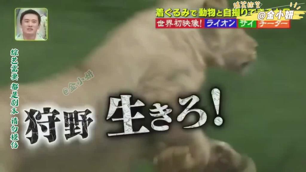 搞笑日本综艺节目,整人已经满足不了他们了,这次他们要开始作死了 预览截图 2