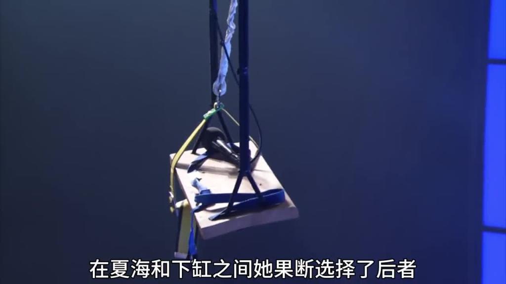 国外奇葩挑战综艺,无论发生什么都要完整唱完一首歌2 预览截图 2