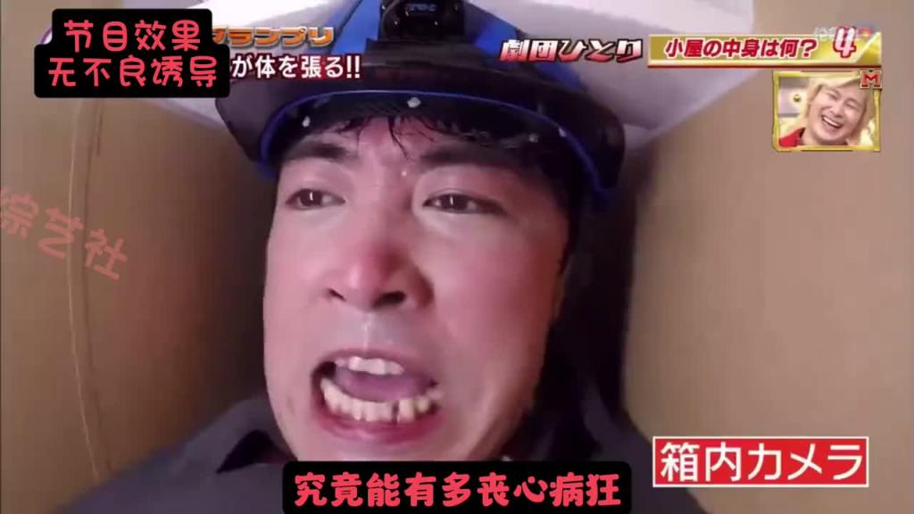 丧心病狂的小日子综艺 竟然让嘉宾蒙眼摸羊驼！ 预览截图 1
