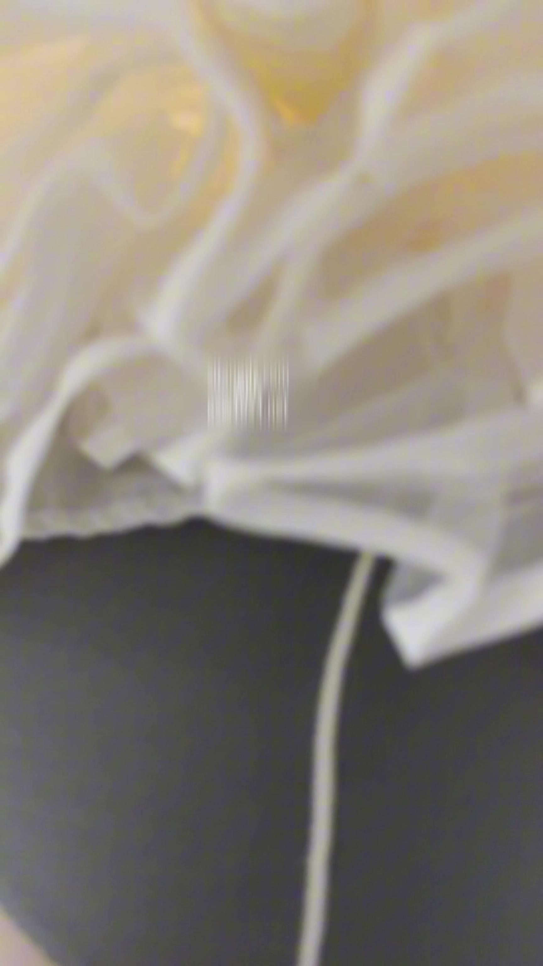白衣天使裙下有小可爱 预览截图 4