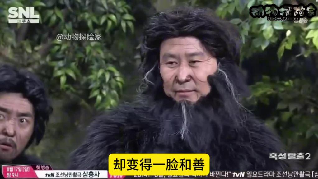 韩国爆笑综艺。猩球崛起唯有奈斯 预览截图 3