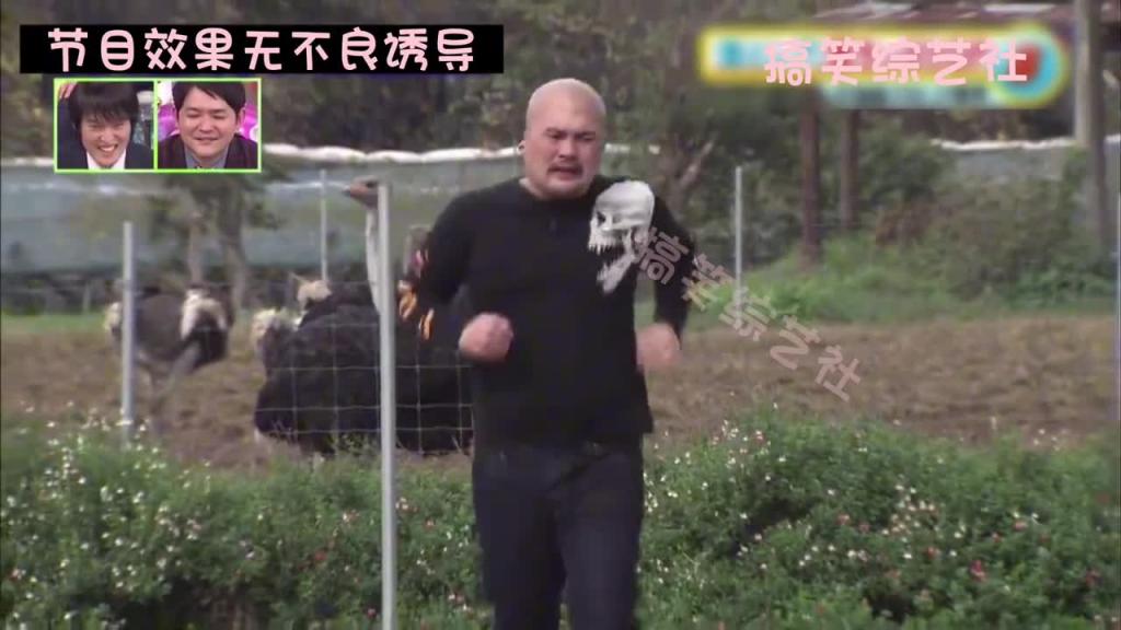 爆笑整蛊 莫名其妙掉入陷阱中#日本综艺整蛊奇葩搞笑 预览截图 12