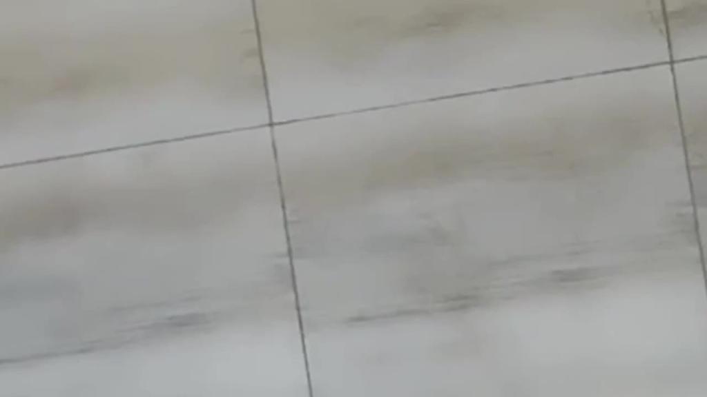 与嫂子的乱伦 给你逼你都不会操萝莉 预览截图 12