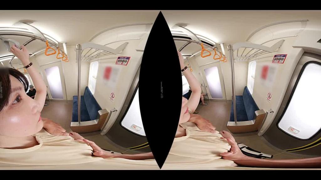 【VR】【8K】干砲融入日常生活「经常性交」尽情放纵痴汉电车 A DSVR-1648 预览截图 2