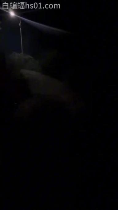 -满背纹身御姐女神户外野战,深夜直接开着车门操逼!- 预览截图 2