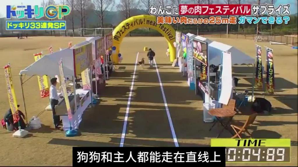日本奇葩综艺整狗比赛，主题名为绝对不能吃挑战赛 预览截图 1