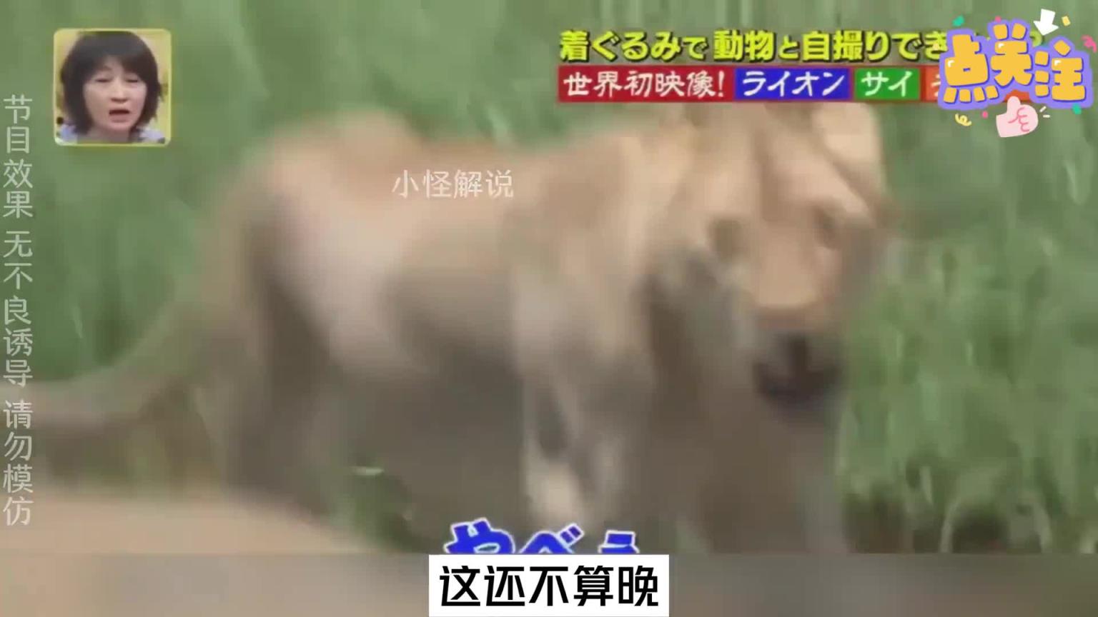 小日子的综艺真损,完全不把艺人当人看,笑死我了,哈哈哈。#综艺名场面 预览截图 3