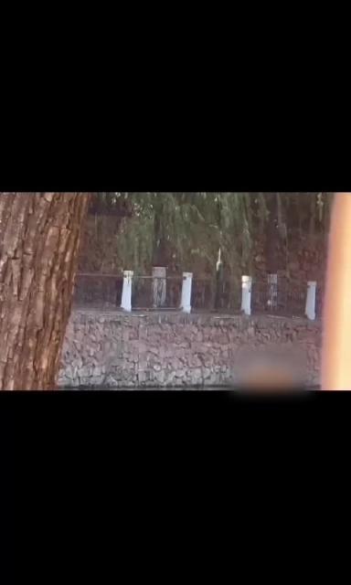门事件 郑州 西亚斯学院 河边长板凳事件 传说中的贵族学院也一样玩的花 预览截图 8