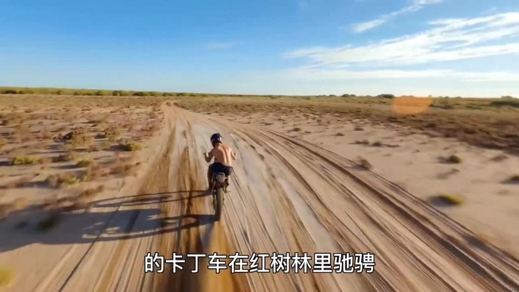 如果你也爱吃海螺和螃蟹,今天的巨无霸螃蟹千万不要错过 预览截图 3