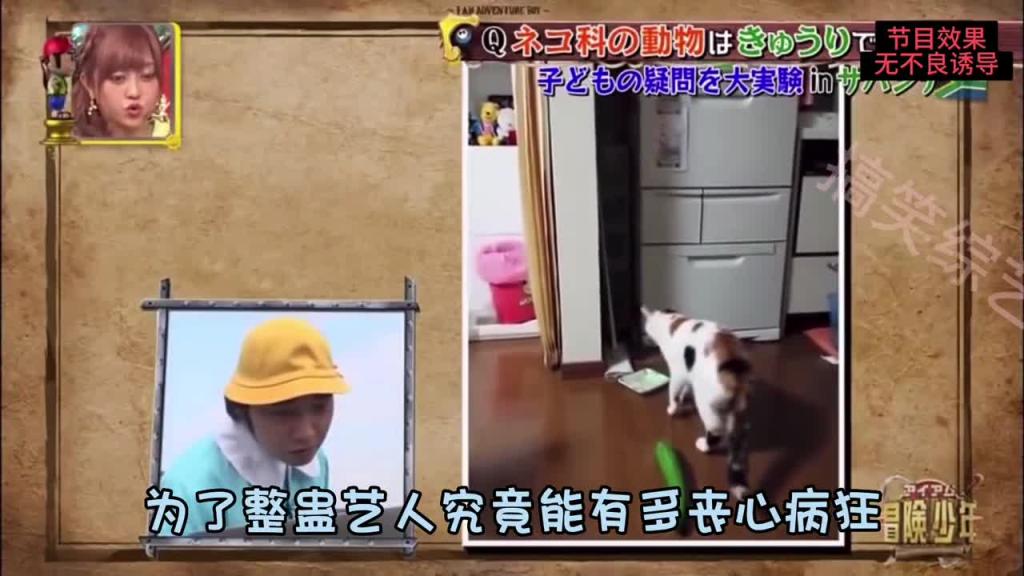 日本综艺 调戏猎豹#日本综艺整蛊奇葩搞笑 预览截图 6