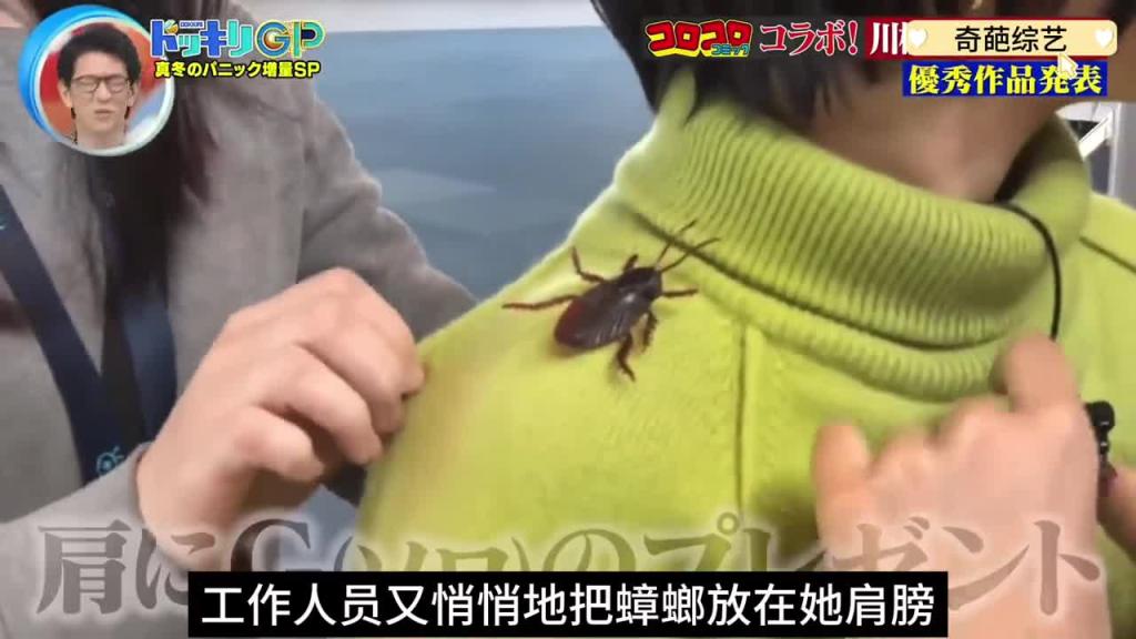 日本奇葩综艺，剪彩仪式上掉下来上万只小强，你会是什么反应 预览截图 7