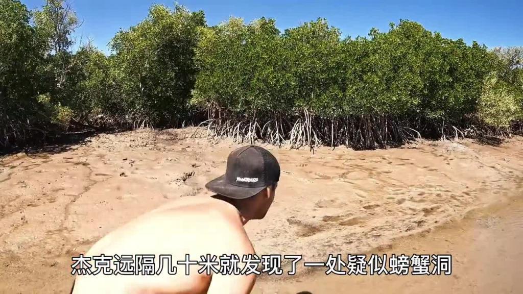 如果你也爱吃海螺和螃蟹,今天的巨无霸螃蟹千万不要错过 预览截图 12