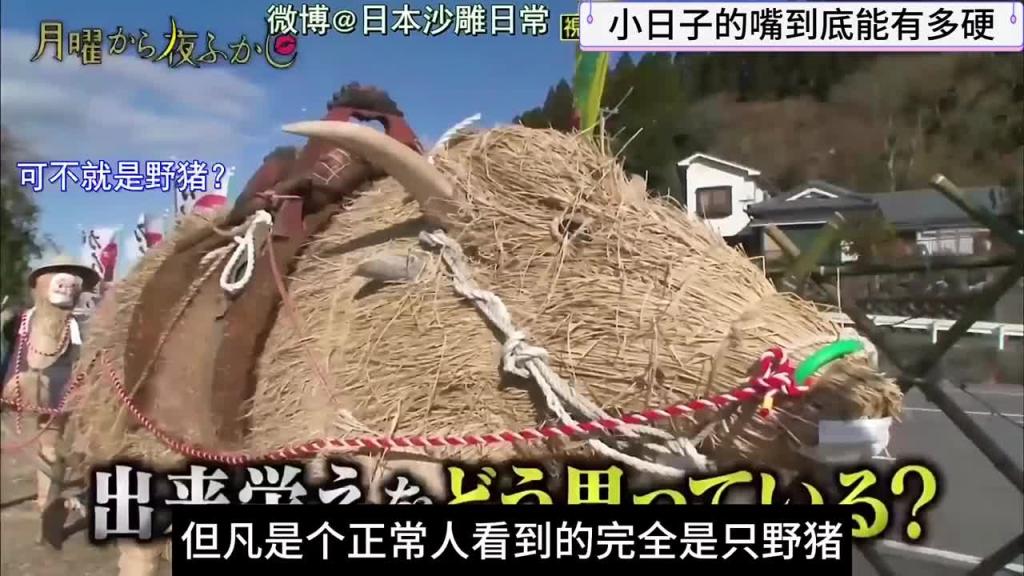 日本搞笑综艺,小日子的嘴巴到底有多硬,非要说是熊猫 预览截图 12