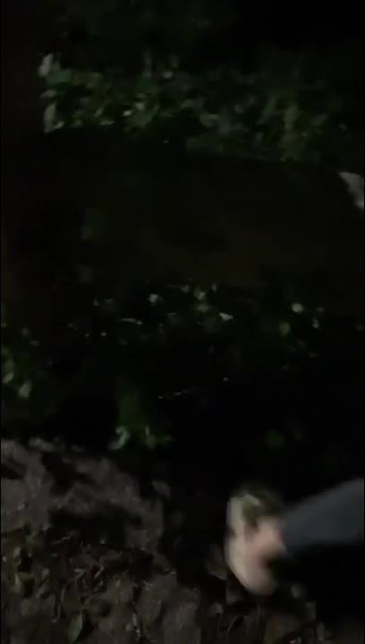 骚逼老妈穿着开档瑜伽裤在人前暴露，直接在人来人往的公园就被我内射到高潮了 预览截图 5