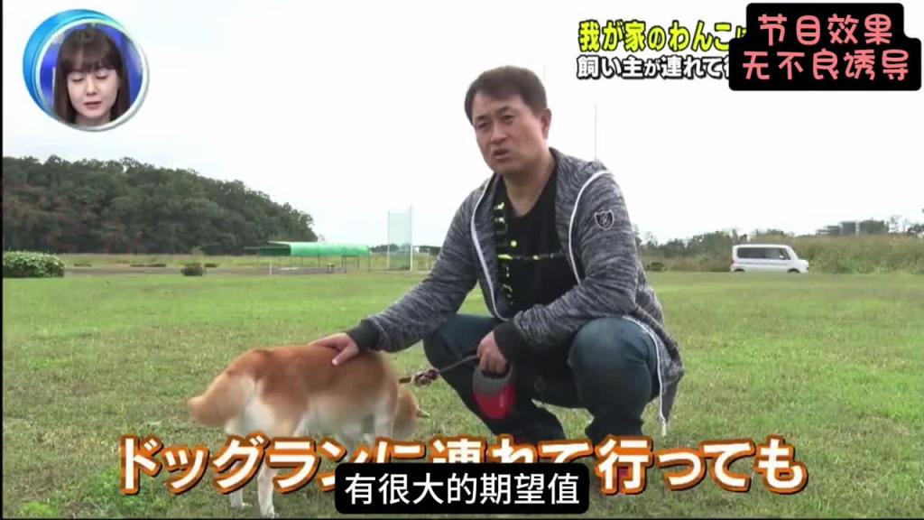 铲屎官突然被坏人抓走 狗子会有什么反应呢?会不会见死不救呢? 预览截图 1