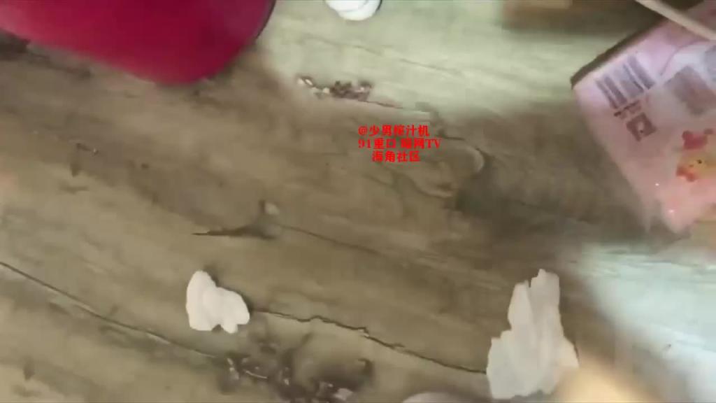 【反差婊档案】合肥绿帽癖男友和反差婊骚货女友刘嘉莉 预览截图 9