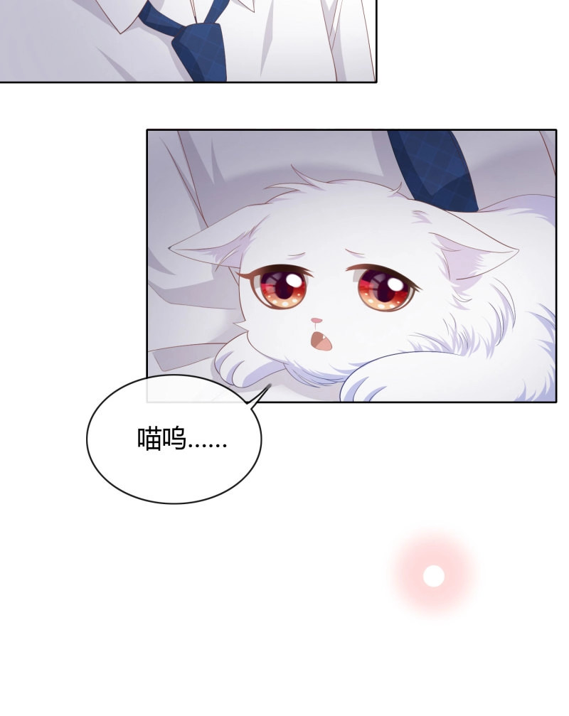 第14话 绿茶终结者 第 23 页