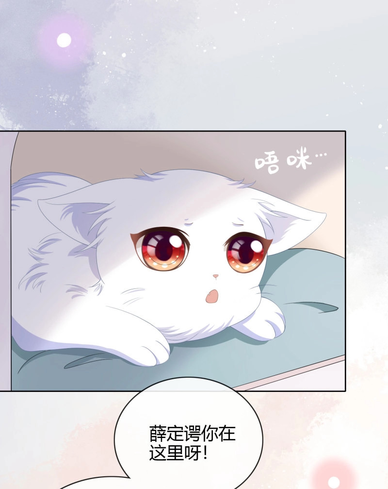第14话 绿茶终结者 第 34 页