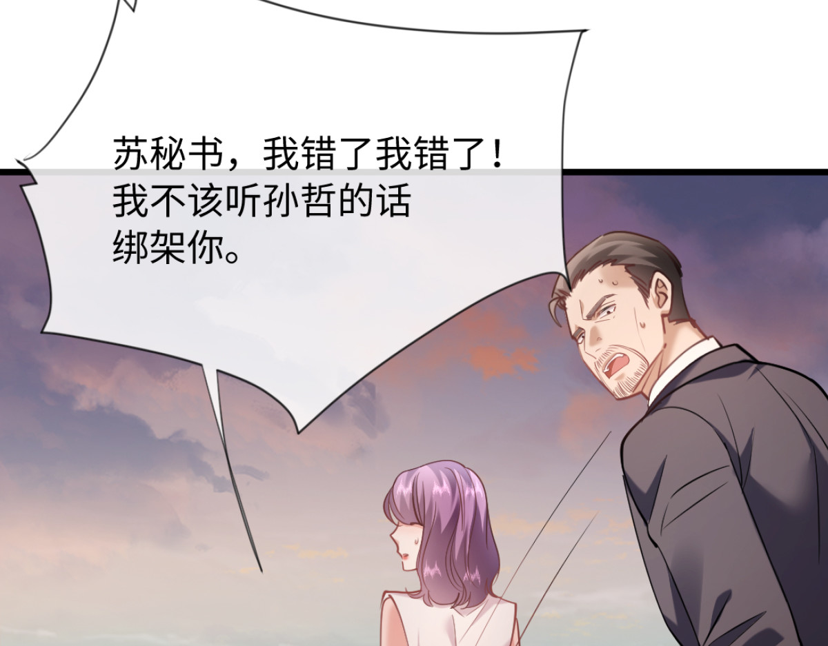 27-苏秘书的秘密 第 36 页