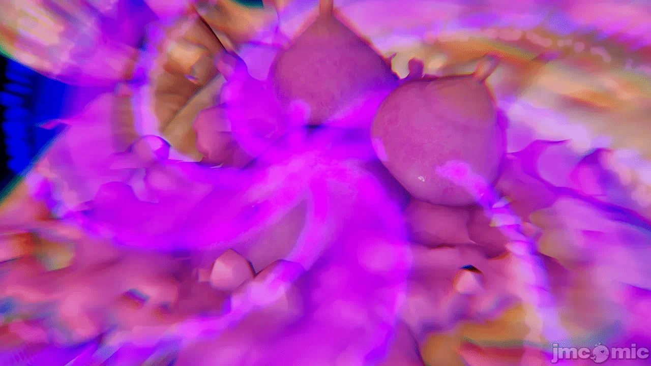 第一话 第 1282 页