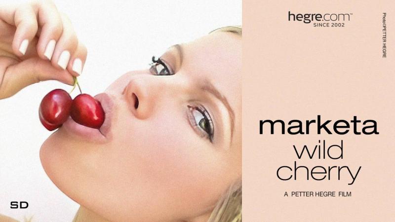 粉舌樱桃：多汁诱惑，椅上春光