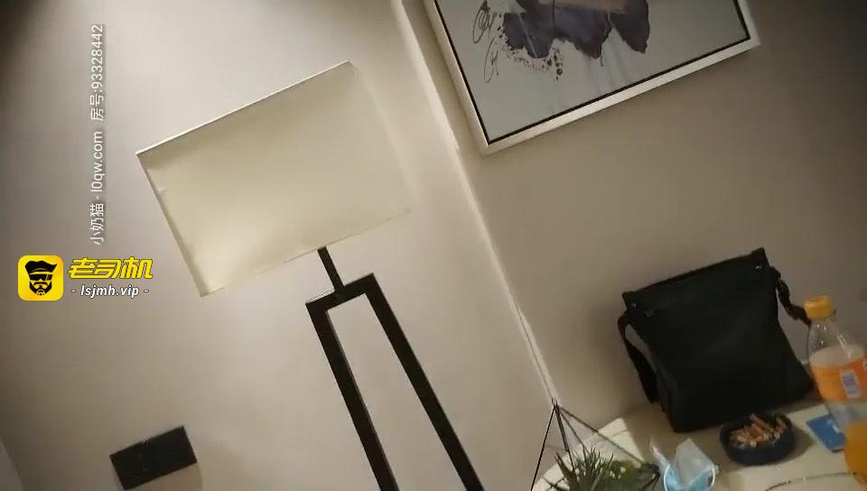 【鸭总侦探】深夜没事干叫个小少妇泄火_沙发上操骑坐后入勐操呻吟娇喘非常诱人 预览截图 4