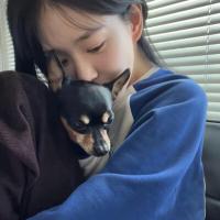 顺利爱小蜜蜂