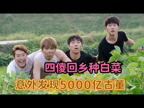 一口气看爆笑种田韩剧！四傻回乡种白菜，意外发现5000亿古董，逆袭人生！《摩登农夫》 视频封面